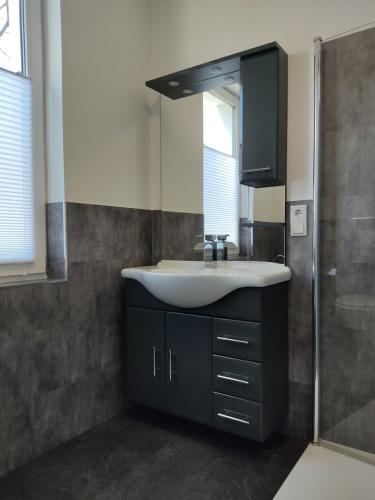 ein Bad mit einem Waschbecken und einem Spiegel in der Unterkunft Neu Eröffnet, Wuppertal Villa in Wuppertal