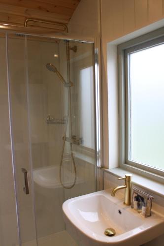 a bathroom with a shower and a sink and a sink at The Apple Inn in Lucker