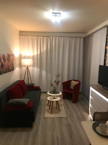 a living room with a couch and a table at Apartament Mazurskie Piaski in Giżycko