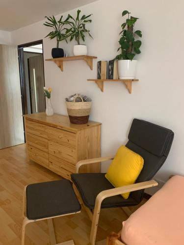 a room with a chair and a cabinet with plants at Penzion Pod pecí in Lenora