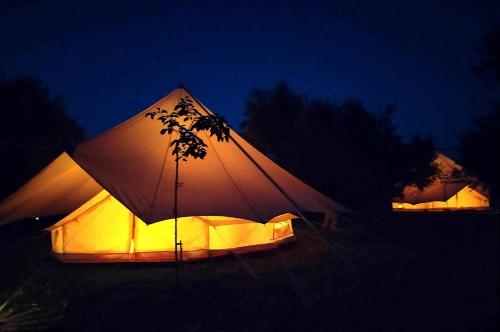Cocoon Tent in an Olive Grove