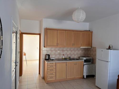 a kitchen with a sink and a white refrigerator at Maria Apts in Istron