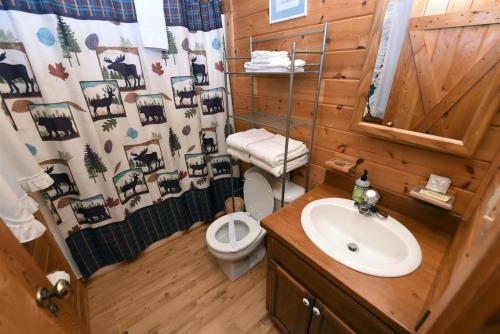 a bathroom with a toilet a sink and a shower at Simpler Times- Mineral Bluff in Mineral Bluff