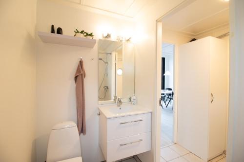 La salle de bains est pourvue de toilettes et d'un lavabo. dans l'établissement Perle Øer Maritime ferieby Ebeltoft, à Ebeltoft
