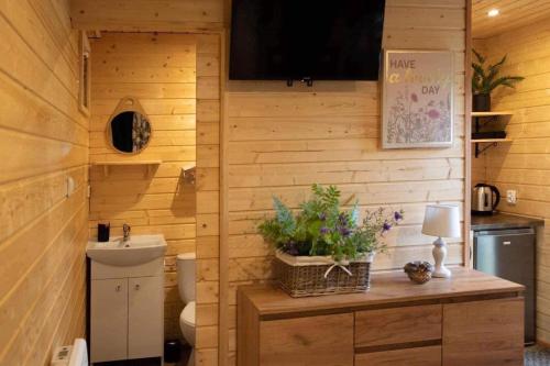 W pokoju znajduje się łazienka z umywalką i toaletą. w obiekcie Stanica Wodna Swoboda w mieście Augustów