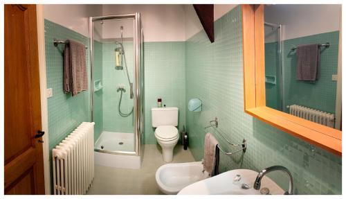 une salle de bain avec une douche, des toilettes et un lavabo dans l'établissement Le Petit Comte Bergerac an Oasis of Calm, à Bergerac