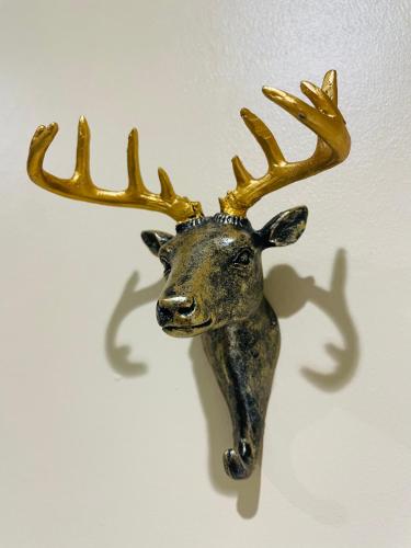 a bronze deer head hanging on a wall at Barnaby’s Barn in Carmarthen