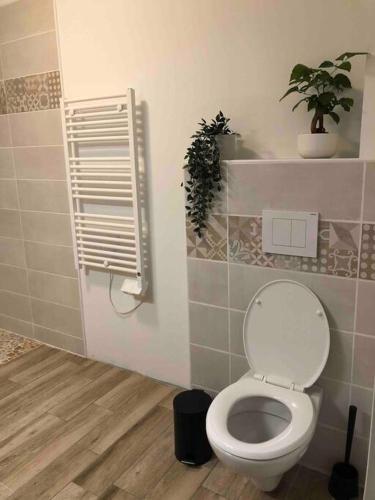La salle de bains est pourvue de toilettes blanches et d'une plante. dans l'établissement Jolie maison à 5 min de l'océan, à Grayan-et-lʼHôpital