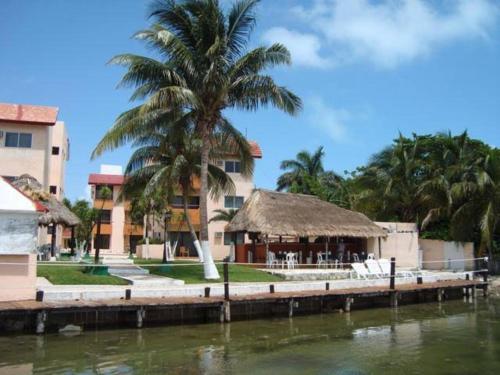 a building with a palm tree next to a body of water at Royal lagoon room in Cancún