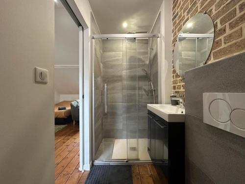 uma casa de banho com um chuveiro e um lavatório. em IMMEUBLE ST-PIERRE - GARE 10min - HORTILLONNAGES 5min - WIFI - TV HD em Amiens