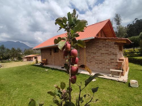 una casa con un árbol delante de ella en Cabañas Tecla María en Otavalo