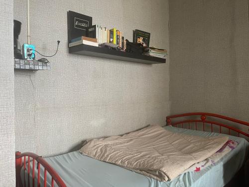ein kleines Bett in einem Schlafzimmer mit einem Regal an der Wand in der Unterkunft Beckroom in Cotuí