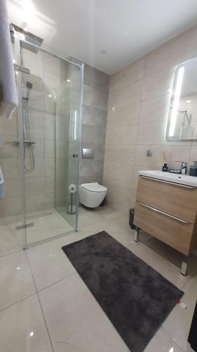 a bathroom with a shower and a sink and a toilet at JURA PARADISE in Olsztyn