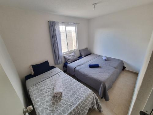 1 dormitorio con 2 camas y ventana en Depa muy ubicado Cortes 15B, en Querétaro