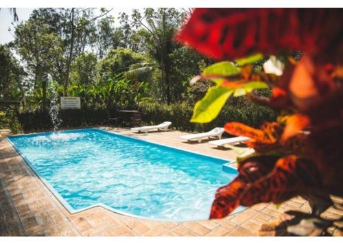 ein Schwimmbad mit einem Brunnen in der Mitte in der Unterkunft Pousada do Peralta in Bonito