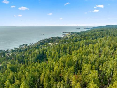 an aerial view of a forest of trees next to the ocean at Grandma's Cabin by the Sea in Gualala