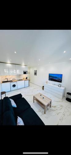 un salon avec un canapé et une table basse dans l'établissement Studio Promenade des Anglais, à Nice