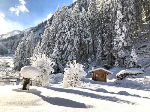 Το Alpenhaus Lacknerbrunn τον χειμώνα