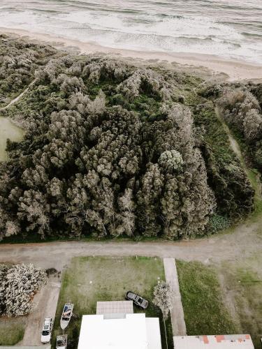 an aerial view of a forest of trees next to the beach at The Endless Summer- 30 seconds walk to the beach in Culburra Beach