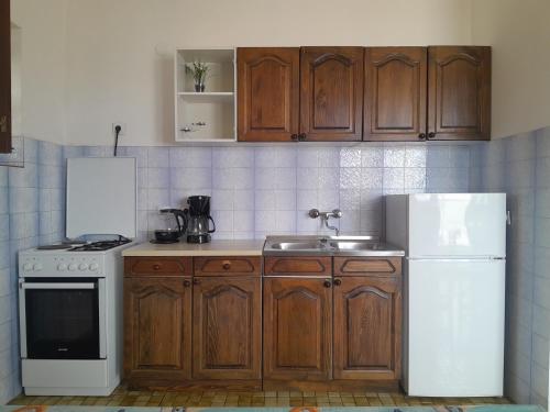 Kuchyňa alebo kuchynka v ubytovaní Apartment Pjestata 14440e