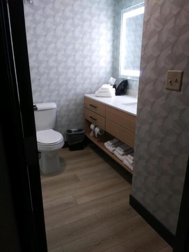 a bathroom with a toilet and a sink and a mirror at Comfort Suites Cheyenne in Cheyenne