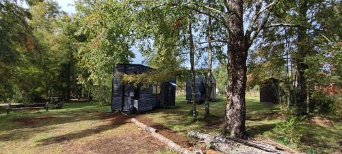 una pequeña casa negra en un campo con un árbol en Tiny house Alto bosque en Pucón