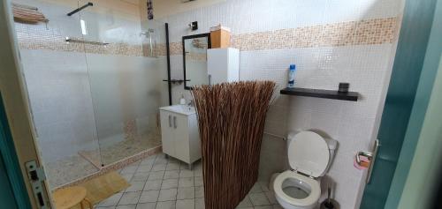 un bagno con wc e doccia in vetro di Ti' cocon des îles a Le Moule