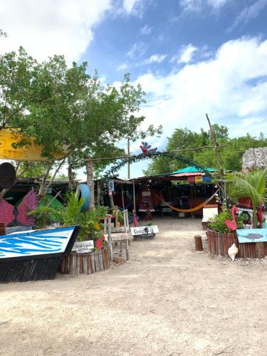 un mercado con un montón de diferentes tipos de plantas en Casa de los Santos Camping y eco cabañas en Holbox Island