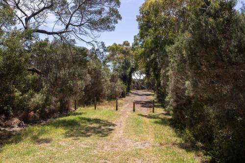 a path through a forest of trees on a trail at Komune II in Cowes