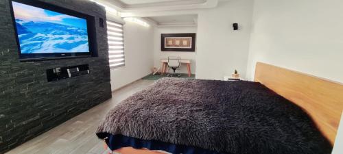 1 dormitorio con 1 cama grande y TV de pantalla plana en Cálida casa pet friendly, CDMX, en Ciudad de México