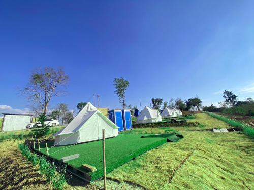 un gruppo di tende in un campo con erba verde di Moon Camp Khaoyai a Ban Nong Song Hong