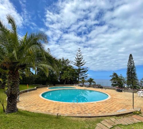 - une piscine dans une cour avec un palmier dans l'établissement Vista Formosa, à Funchal