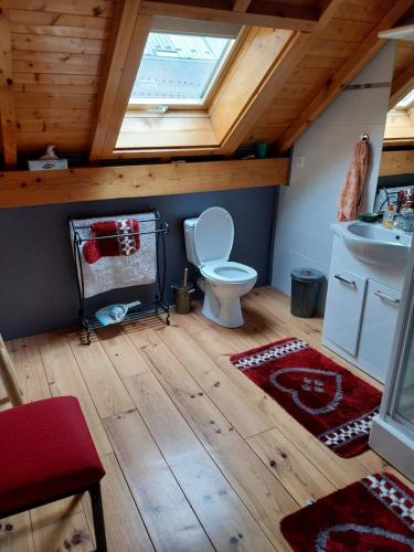 a bathroom with a toilet and a sink at Marmotte 2 in Ornon