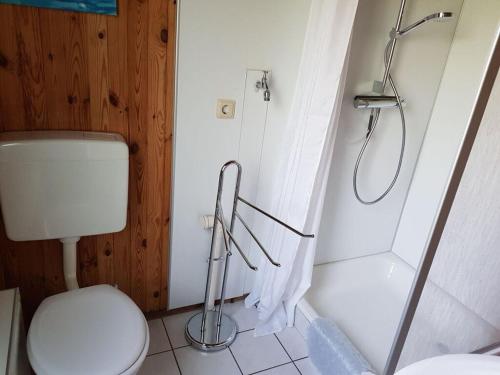 een kleine badkamer met een toilet en een douche bij Lovely apartment in Extertal in Extertal
