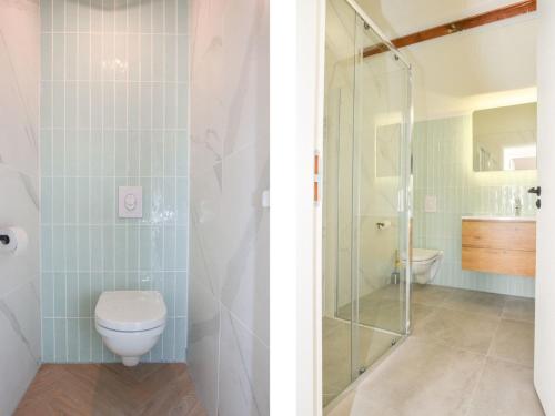 a bathroom with a toilet and a shower at Lovely holiday home with garden in Vrouwenpolder