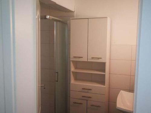 a bathroom with a shower and a white cabinet at Pleasant apartment in Baden-Württemberg in Eisenbach