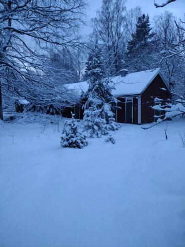 a snow covered tree in front of a barn at Gamla Lärarbostaden in Lenhovda