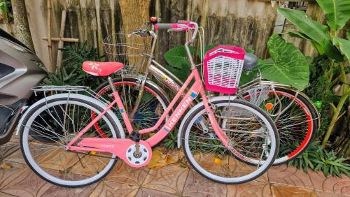 ein rosa Fahrrad wird neben einem Baum geparkt in der Unterkunft Masawi Home in Cần Thơ