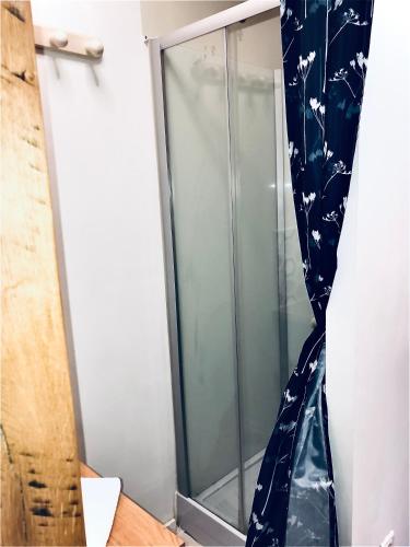 une cabine de douche en verre avec rideau de douche bleu dans l'établissement LE PASTORE avec Terrasse Au Coeur du Centre Historique, à Dijon