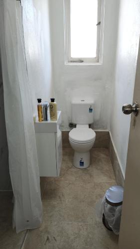 a bathroom with a white toilet and a window at Private separate unit - A in O'Connor in Canberra