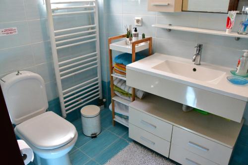 uma casa de banho com um WC e um lavatório em Sanctuary Villa in Vagia, Aegina em Agia Marina