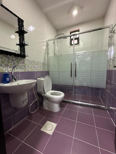 a bathroom with a toilet and a sink and a shower at Amro Petra Apartment in Wadi Musa