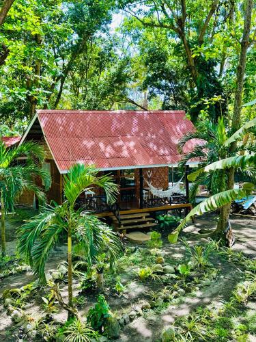 Zahrada ubytování Playa del Fuego Camiguin Beach Hostel & Resort