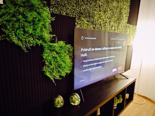 een tv met planten aan de zijkant van een muur bij VIP lounge - self check in in Osijek