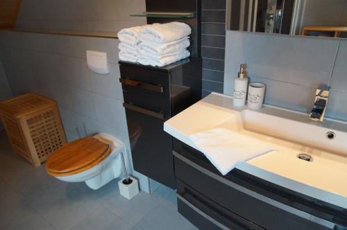 a bathroom with a sink and a toilet and a sink at W & S Executive Apartments - Hallstatt II in Hallstatt