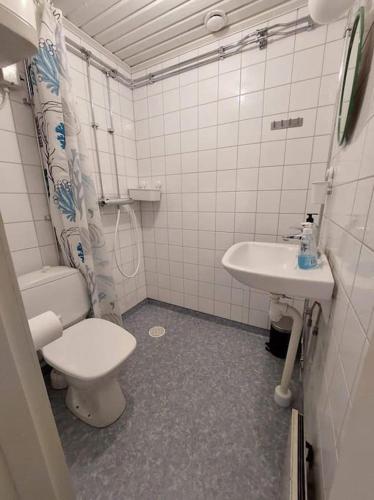La salle de bains est pourvue de toilettes et d'un lavabo. dans l'établissement Mysig stuga, à Orsa