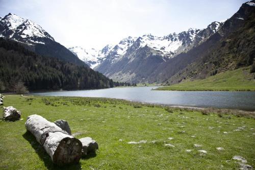 a log in a field with a lake and mountains at Gîtes Estives d'Arrens in Arrens-Marsous