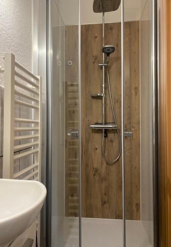 a shower with a glass door next to a sink at Roseneck am Neulandhof Spöring in Walsrode