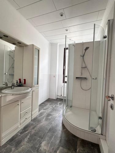 un baño con ducha y lavabo en Fachwerkhaus von 1894, Hahnenklee-Bockswiese Getaway, en Hahnenklee-Bockswiese