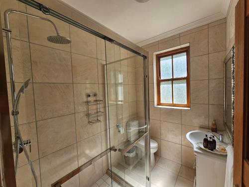 a bathroom with a shower and a toilet at Valley View Eco Country Estate - Paradise in the Winelands in Villiersdorp
